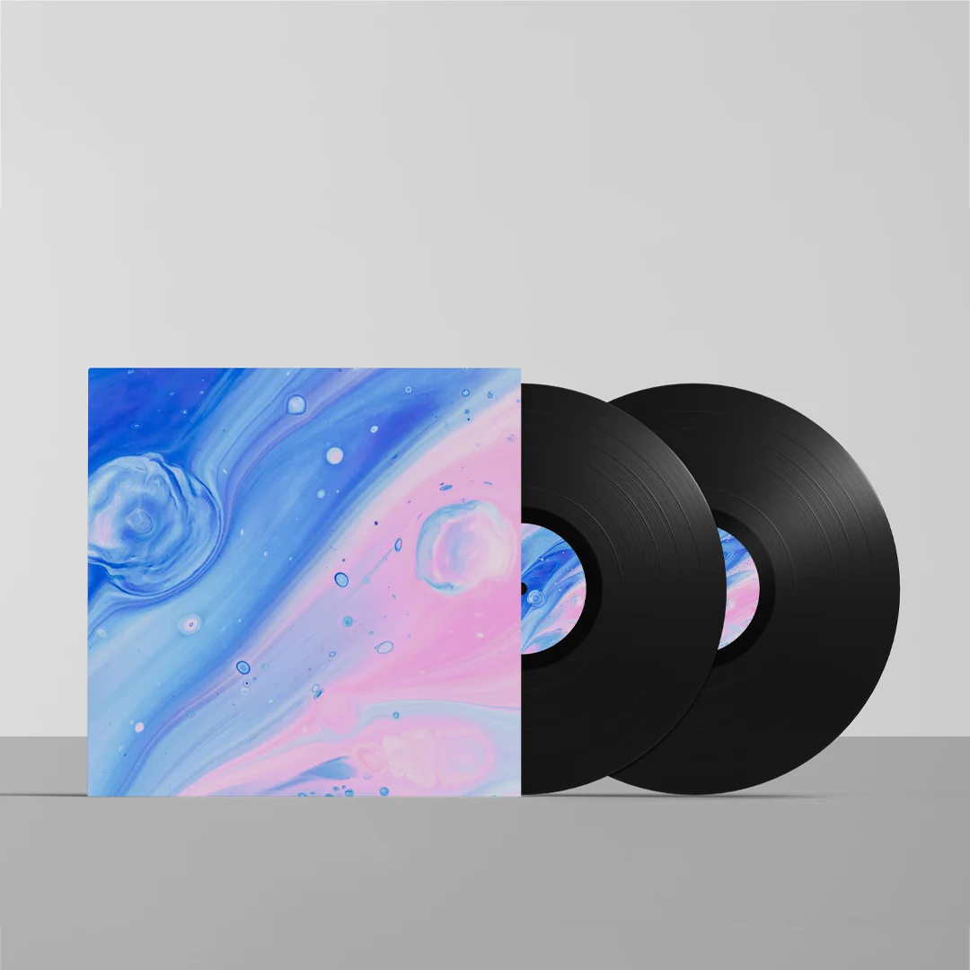 printed vinyl record sleeves